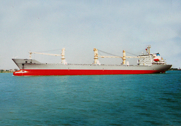 20,000噸多用途船（1999年-2000...