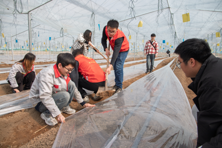 1741855980677880.png 圖片10.png